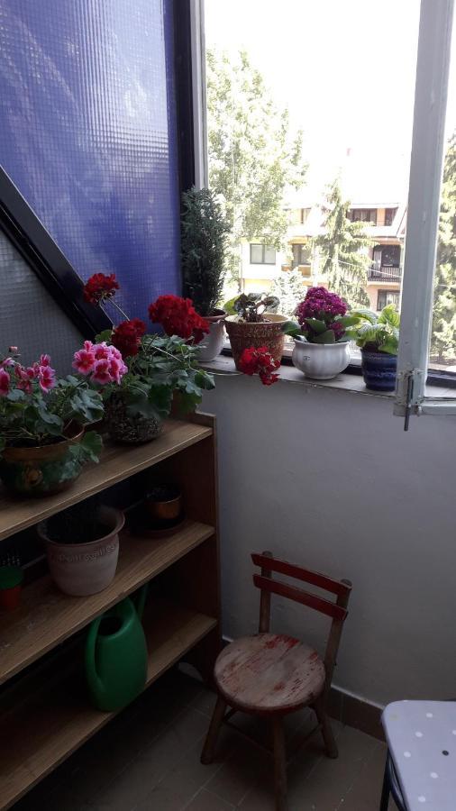 Annika Apartman Eger Kültér fotó